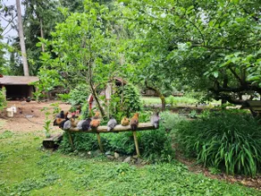 Beautiful cottage on working homestead - Image 5