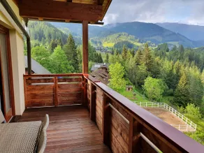 🌲 Magic View 🌲 - Image 4