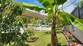 Charming and Cozy House in P.R 8 min to Rainforest - Image 5