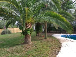 Coastal Bungalow w/ Pool sleeps 8 close to beach! - Image 3