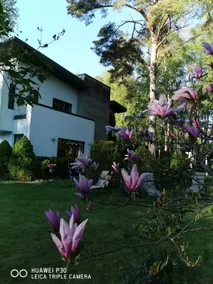 Beach Villa in Tallinn near city - Image 3