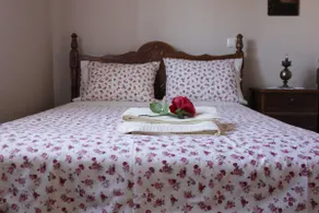*Villa Pap-Live the Greek hospitality in a village* - Image 4
