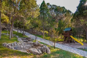 Large cabin in Arteaga, Coahuila - Image 4