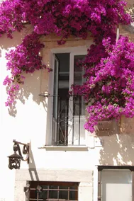 Small Studio apartment in ”Piazzetta” - Image 5