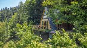 Forest House #2 - Image 3