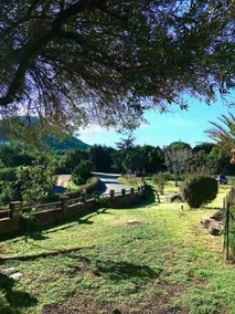 House near st Florent - Image 5