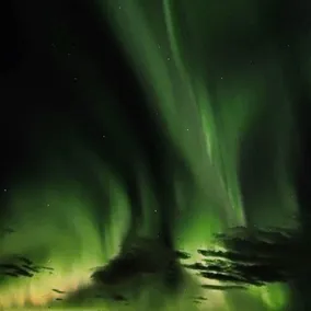 Iceland-Aurora - Image 5