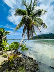 Blue Coral House, Luxury Waterfront - Image 5