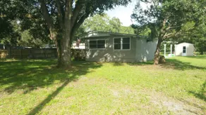 La Fish Camp - Image 2