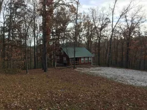 Pruitt Mountaintop Cabin Rental - Image 3
