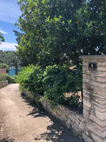 Bay laurel Tree Guest house - Image 2