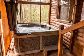 Bear Cabin with Hot Tub at Solitude Pointe - Image 2