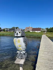 Fantastic house right by the water. - Image 3