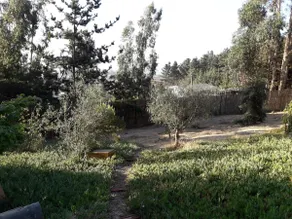 A beautiful place to disconnect and appreciate the view - Image 3