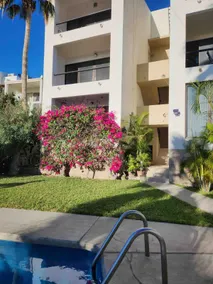 Cabo best deal per night or week! - Image 5
