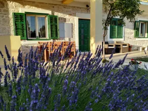 Dalmatian Oasis with Pool • 10 Min from Krka NP - Image 3