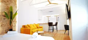 ALMA PALACE SUITE 30 m2 in Plaza Mayor - Image 5