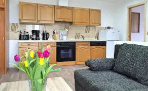 Beautiful, quiet apartment in the Boehm Switzerland - Image 2