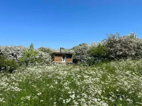 Appletree Lodge - Image 2