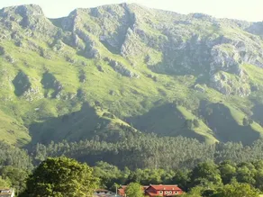 Primorías Llanes - Image 5