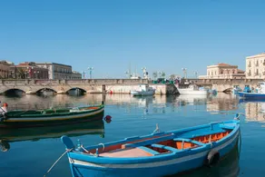 O Paisi-2 - Image 5