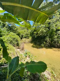 CABANA CACAU - WIFI, NATURE AND PEACE ON THE BEACH - Image 5