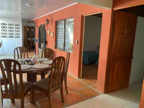 House downtown. Large, fresh, 5 min to SJO airport, 200m to park - Image 4