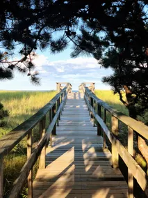 2 BR Apt at Kinney Shores w/ private beach access - Image 2