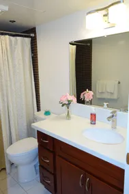 1 Bedroom Suite in downtown near Waikiki - Image 3