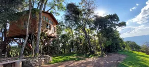 Treehouse | Experience at the top of Mantiqueira - Image 4