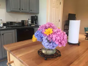 Spacious apt/near Charlottesville /UVA/wineries - Image 5