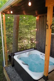 CREEKSIDE CABIN + view, forest, fishing & peaceful - Image 3