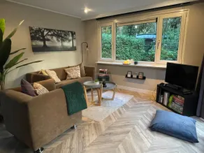 Modern & trendy Chalet on the Veluwe in Hoenderloo - Image 3