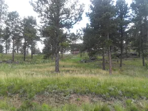 House on the Hill - Image 3