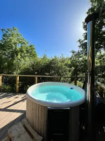 Lower Coombe Royal- Orchard Lodge with Hot Tub - Image 2