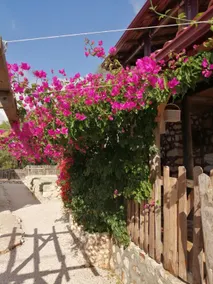 peaceful relaxing home and garden. Ela pansiyon. - Image 5