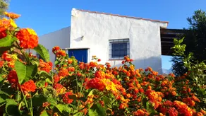 Charming house in Andalusia 10 minutes from the beaches - Image 4