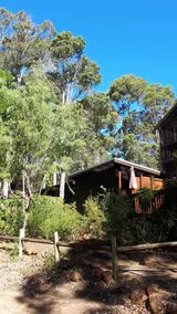 Forest Retreat 2 - Image 3