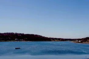 Modern private luxury residence in oyster bay - Image 2