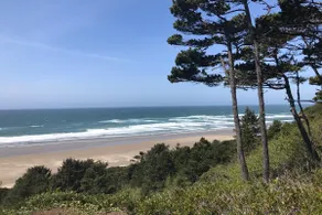 Ocean View & path to the beach - Image 3