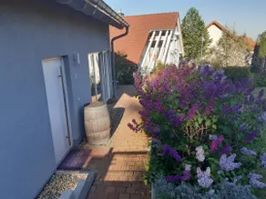 Nuova casa vacanza tra boschi e vigneti nei pressi di Freinsheim - Image 2