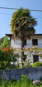 La Palma - Image 2