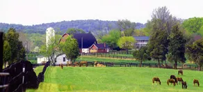 Manor House at Wolftrap Farm: Escape the City - Image 2