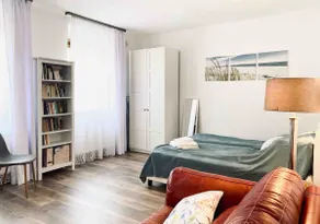 Delightful studio apartment in downtown Keszthely - Image 4
