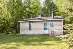Two Trees Lake Huron Cottage, dog friendly - Image 3