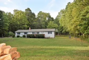 Whole Home, Wooded Serenity, Urban Proximity - Image 5