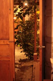 Casa Castillo I - Image 4