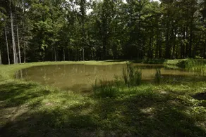 Pond House at Rushford Lake - Image 4