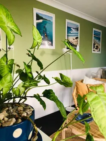 Cosy cottage , self-contained studio - Image 4