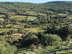 OASIS IN A NATURAL PARK.  CASA ASIA 5 min from the beach and the mountains - Image 3